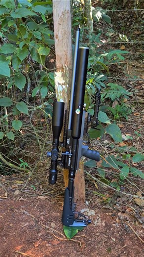 + 100 joules 🔥 Carabina AEA Challenge Pro 6.35 ##shorts #sniper #airguns #slug #tiroesportivo