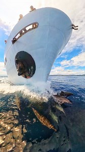 VIP escort back to western waters on board MV Fair Lady | Insta360 🐬🐬🐬 #WesternProvince #dolphins | Junior Joe II