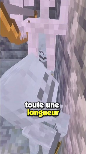 La MEILLEURE FERME à SQUELETTE sur MINECRAFT ! 🦴