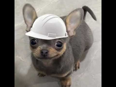 Ingreso UTN FRBA #2 Funcion Cuadratica