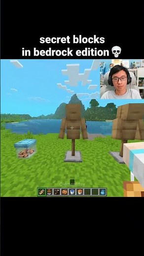 Minecraft Secret Blocks Moment