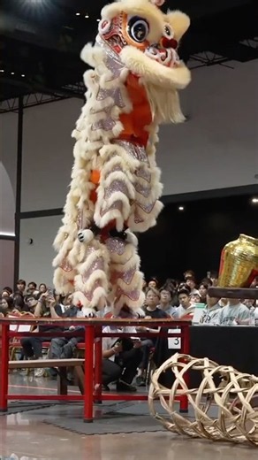 Austin Southern Sea — 2026 USA Lion Dance National Championships | Traditional #liondance