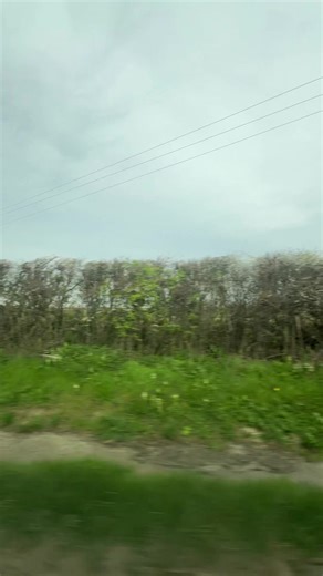 Isaac Matthews (@isaac.matthews22)’s videos with WiLlY bUm BUm - blakecareyy