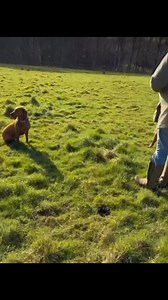 10K views · 46 reactions | Stroll around the farm #ClarksonsFarm #Clarkson | Clarksons Farm | Facebook