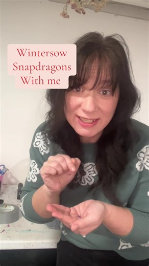 Winter Sowing Gorgeous Snapdragons