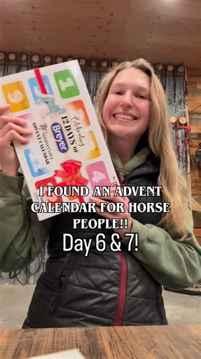 Breyer horse advent calendar, day 6 and 7! #horses #horseriding | Double Z Farm