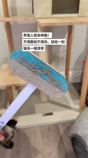 Ultimate Cat Grooming Guide: Must-Have Supplies for Daily Care