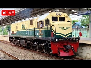🔴 NAIK KERETA API LOKOMOTIF LIVERY VINTAGE !! Trip KA Sawunggalih w/ Lokomotif CC 201 83 31 Era PJKA