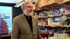 Fluorescent in situ sequencing