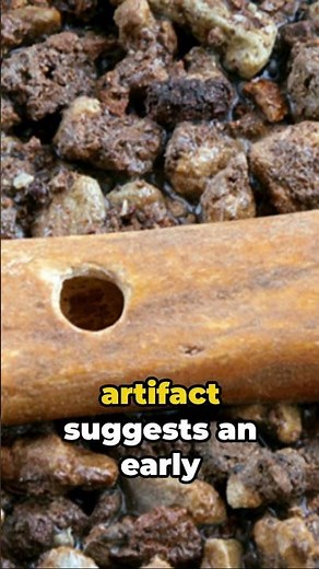 Uncovering the Secrets of the Divje Babe Flute: Oldest Musical Instrument #shorts