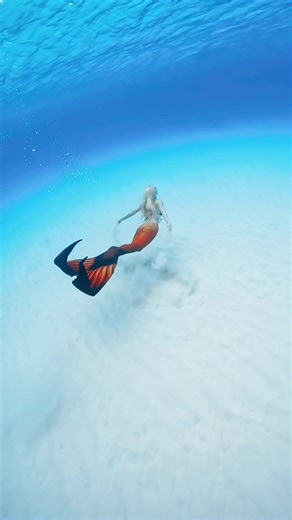 沖縄のマーメイドスイムとダイビング体験