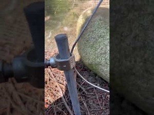 How to install electric fencing for chicken coop.