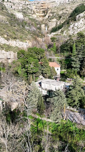 Explore the Enchanting Beauty of Hammana Village