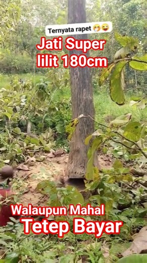 Kayu Jati Super bahan tiang 30x30 #kayujatisuper #jatisuper #sonokeling #stihl