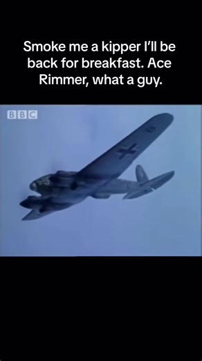 Ace Rimmer, everyones favourite Hero, with possibly the greatest catchphrase of all time “Smoke me a Kipper i’ll be back for breakfast” #reddwarf #acerimmer #lister #thecat #holly