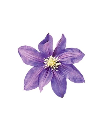 Entre na nossa House: Construa sua comunidade!