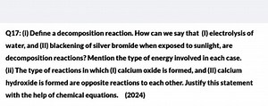 Question 17(i) Define a decomposition reaction. How can we sa... | Filo