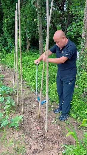 Revolutionize Farming: Easy Bamboo Pole Installation Guide