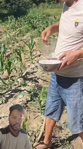 Unbelievable! 😱 Chinese Farmers Fertilize Corn With Plastic Bottles—Genius Hack!