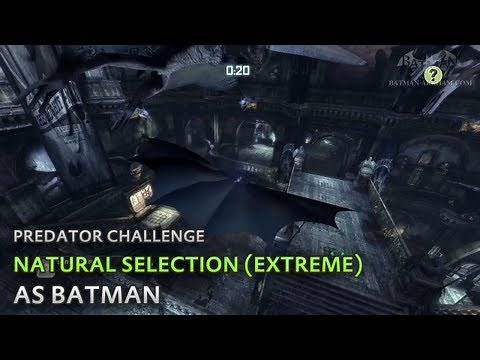 Batman: Arkham City - Natural Selection (Extreme) [as Batman] - Predator Challenge