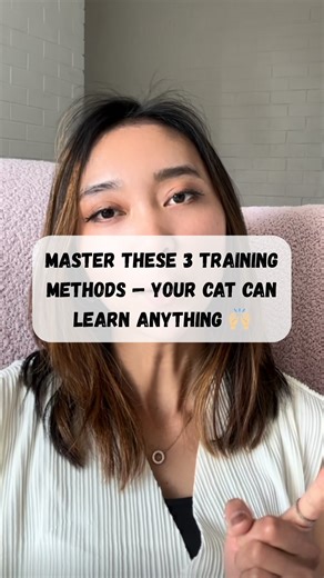 3.7K views · 3 comments |  Stop scrolling! Your cat can learn...