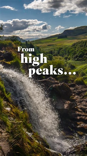 RSPB Membership is your passport to breathtaking nature across the UK. Become a member and enjoy access to our 170 reserves all year round. | RSPB