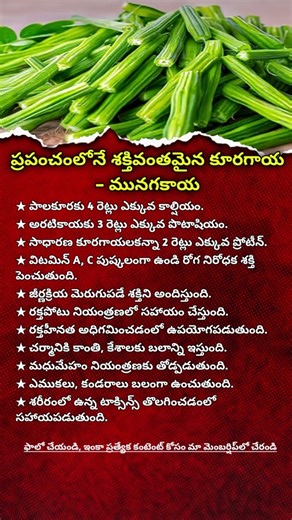 Moringa Benefits You Didn’t Know | Powerful Superfood for Daily Health