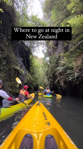 THINGS TO DO IN NEW ZEALAND | INFLUENCER on Instagram: "The tour is hosted by Riverside Adventures Waikato. Tours include: Preparation: You'll be geared up and taught the ropes before you paddle. Kayaks: Double kayaks are used, and some groups may need to share with another group. Kayaks are suitable for two people and a child, and are easy to paddle and stable. Guides: Expert guides will keep you together and on-course in the dark. The tour is suitable for active travelers who love the outdoors