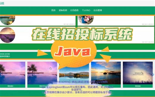 springboot(ssm 在线招投标系统 Java(code&LW)