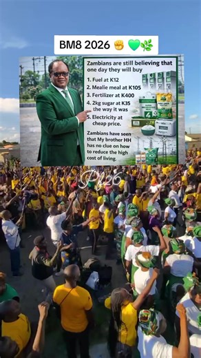 Hakainde Hichilema & Brian Mundubile: Zambian Politics