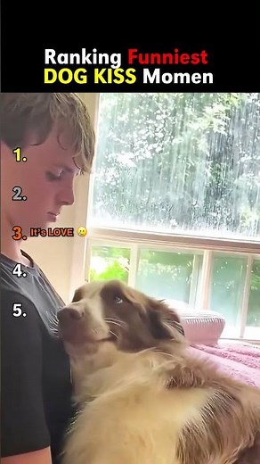 funniest dog kiss reactions 🐶