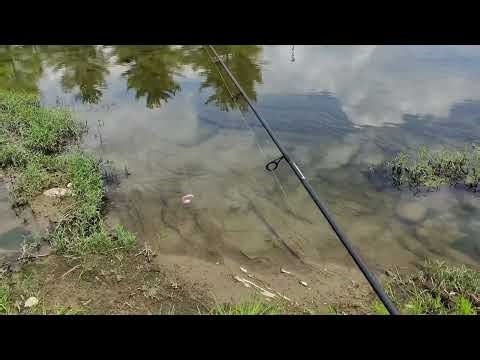 Beginners guide to catching smallmouth off a spawning bed.
