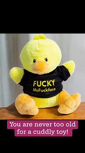 1.5M views · 4.1K reactions | You are never too old for a cuddly toy! 笠 #fungifts #funpeople ( we are not allowed to post about his mate the moocow but check out our shop! The Inappropriate Gift Co | The Inappropriate Gift Co | Facebook