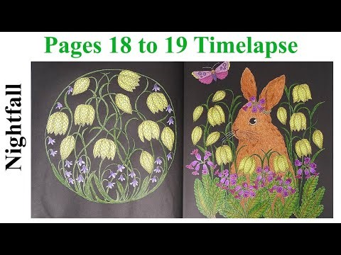 Coloring Book Nightfall by Maria Trolle [SUB] / Pages 18 to 19 Timelapse #coloring #coloringbook