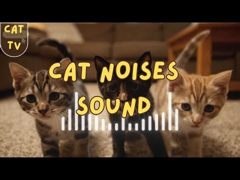 Cat Noises to Make Them Come to You 😻 Instant Attention Sound