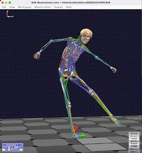 BOB人体骨骼肌肉建模仿真软件操作经验(三)-基于C3D文件建模做生物力学分析