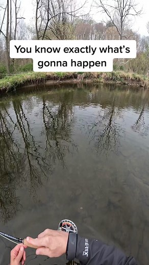 Caught with an elk hair caddis. When the emerging caddis are skimming the surface dry thwir wings off and adults are bouncing up and down laying their eggs, a drifting caddis seems like an easy meal. Sometimes youll get lucky with just a motionless drift amongst the spazs. #flyfishing #fishing #dryfly #dryflyfishing #troutrisers #risingtrout #troutflyfishing #caddis #elkhaircaddis #flyfishdelawhere #lidrig #douglasflyfishing #simms #simmsflyfishing #airflofishing