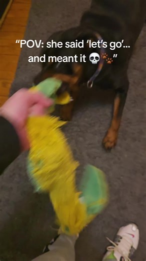 Whole time it’s just her and her toy… but she acting like it’s game day 😭 Energy on 100 for NO reason… and I love every second of it 🐶🔥 Rottweiler mode: activated. #FYP #ForYouPage #Viral #Trending #DontScroll