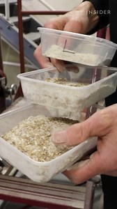 139K views · 1K reactions | Creating this highly admired spirit from scratch is not an easy process. 弄 #singlemalt #whiskey #alcohol | Insider Food | Facebook