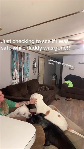 Mommas protectors !!! | Protection Dog