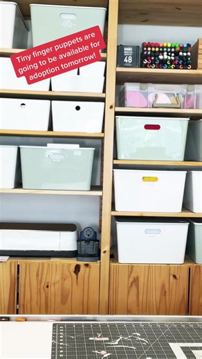 Tiny Finger Puppets for Adoption Tomorrow!