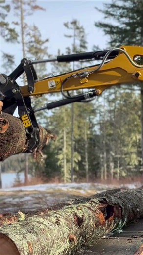 Sany SY35U loading logs