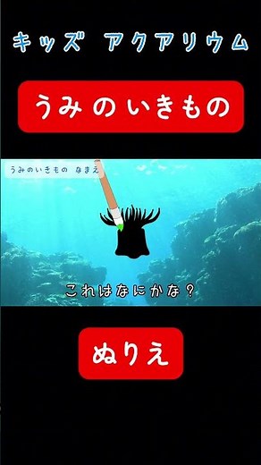 【子供向け 水族館】おさかなのぬりえ！魚の名前をおぼえよう！楽しく学べる海の生き物図鑑。幼児や赤ちゃんが喜ぶ知育アニメ。名前をおぼえよう