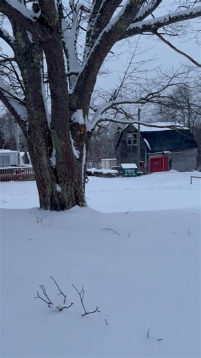 Riverside Seasonal Campground Information Page on Reels