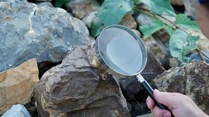 Female geologist using a magnifying glass examines nature, analyzing rocks or pebbles. Researchers collect samples of biological materials. Environmental and ecology research.