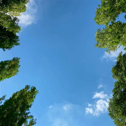 FRIDAY FREEBIE! Introducing the Triangle Shawl, soft, stylish, and stitched with Pacific, our cozy Acrylic and Superwash Merino Wool blend. Grab the free pattern and wrap yourself in comfort! ☺️ 臨MAKE IT: https://buff.ly/p4VZfBK #cascadeyarns #crochet #freepattern | Cascade Yarns | Facebook