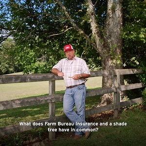 Take a load off your mind and your wallet. Farm Bureau Insurance has the auto coverage you need at a price you’ll like. | Farm Bureau Insurance of Tennessee