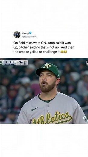 umpire called him out..