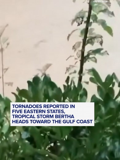 Flash flood warnings have been reported in North Carolina and Virginia after tornadoes were reported across five states on Tuesday, while Tropical Storm Bertha continues moving toward the Gulf Coast. ABC News meteorologist Somara Theodore breaks down the forecast. #weather #tornadoes #floods #news #abcnews