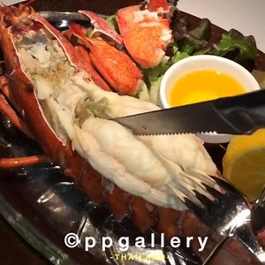 895K views · 10K shares | Steamed Maine Lobster w/ Butter & Seafood Sauce  #ppgallery ชำระด้วยบัตร Citi Credit Card รับส่วนลด15% เฉพาะค่าอาหาร (วันนี้-30ธ.ค.59) #ppgallerypro Newyork Steakhouse JW Mariott Bangkok, Thailand | PPGALLERY | Facebook